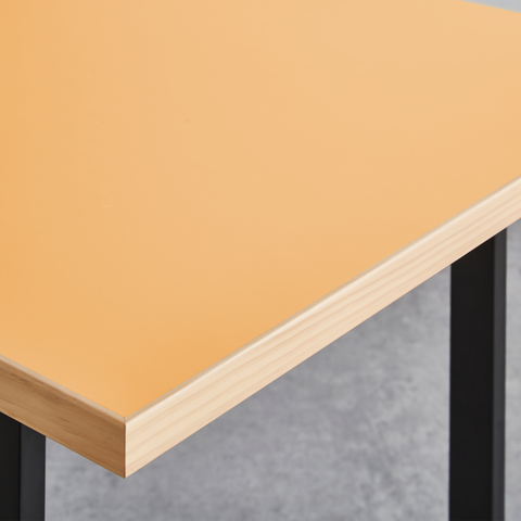 カタリナ サイズオーダーテーブル アプリコット/ オーダーカラー / CATARINA